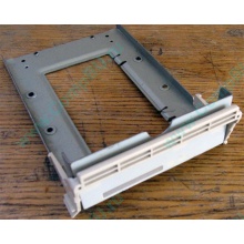 Заглушка для корзины SCSI дисков 55.59903.011 для серверов HP Compaq (Октябрьский)