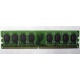Модуль оперативной памяти 4096Mb DDR2 Patriot PSD24G8002 pc-6400 (800MHz)  (Октябрьский)