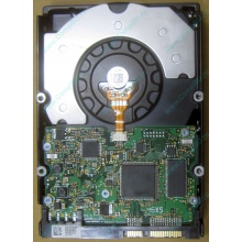 HDD Sun 500G 500Gb в Октябрьском, FRU 540-7889-01 в Октябрьском, BASE 390-0383-04 в Октябрьском, AssyID 0069FMT-1010 в Октябрьском, HUA7250SBSUN500G (Октябрьский)