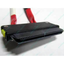 SATA-кабель для корзины HDD HP 451782-001 459190-001 для HP ML310 G5 (Октябрьский)