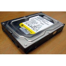 Жесткий диск 160Gb WD WD1602ABKS SATA (Октябрьский)