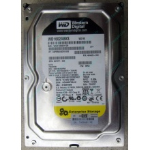 Жесткий диск 160Gb WD WD1602ABKS SATA (Октябрьский)