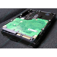 Жесткий диск 600Gb 15k Dell 9FN066-008 6G SAS ( Seagate Cheetach ST3600057SS 15K.7) - Октябрьский