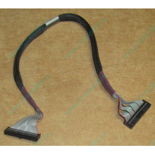 FDD-кабель HP 271946-006 для ML370 (Октябрьский)