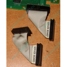 6017B0045701 Шлейф 24 pin для Intel C74974-401 T0043401-B01 корпуса SR2400 (Октябрьский)