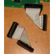 6017B0045701 Шлейф 24pin для Intel C74974-401 T0043401-B01 корпуса SR2400 (Октябрьский)