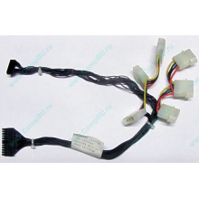 59P4789 FRU 59P4792 в Октябрьском, кабель IBM 59P4789 FRU 59P4792 для серверов X225 (Октябрьский)
