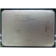 AMD Opteron 6128 OS6128WKT8EGO (Октябрьский)
