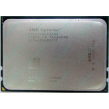Процессор AMD Opteron 6128 (8x2.0GHz) OS6128WKT8EGO s.G34 (Октябрьский)