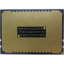 AMD Opteron 6128 OS6128WKT8EGO (Октябрьский)