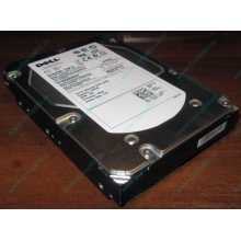 Жесткий диск 300Gb 15k Dell 9CH066-050 6G SAS (Seagate Cheetach ST3300656SS 15K.6) - Октябрьский